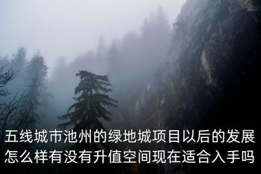 五線城市池州的綠地城項目以后的發展怎么樣有沒有升值空間現在適合入手嗎