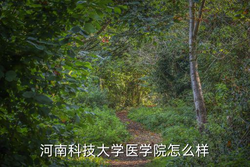 河南科技大學(xué)醫(yī)學(xué)院怎么樣