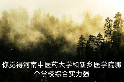 你覺得河南中醫藥大學和新鄉醫學院哪個學校綜合實力強