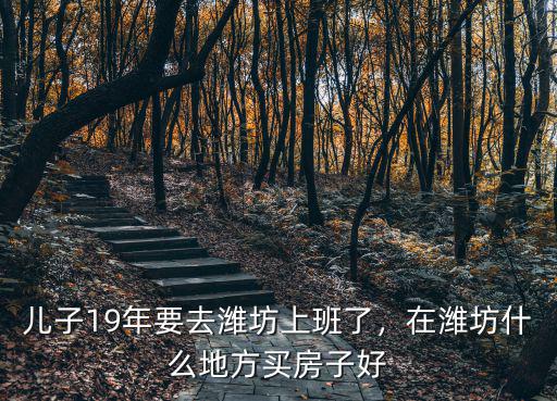 兒子19年要去濰坊上班了，在濰坊什么地方買房子好