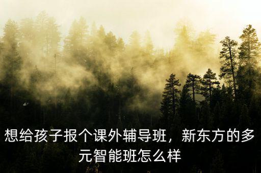 想給孩子報個課外輔導班，新東方的多元智能班怎么樣