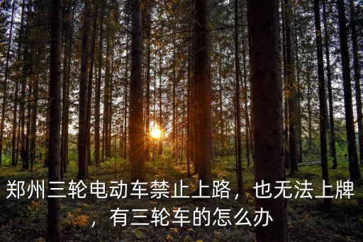 鄭州三輪電動(dòng)車(chē)禁止上路，也無(wú)法上牌，有三輪車(chē)的怎么辦