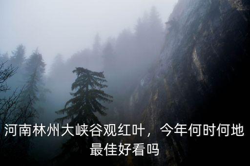 河南林州大峽谷觀紅葉，今年何時(shí)何地最佳好看嗎