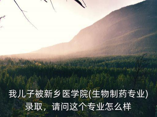 我兒子被新鄉(xiāng)醫(yī)學(xué)院(生物制藥專業(yè))錄取，請(qǐng)問(wèn)這個(gè)專業(yè)怎么樣