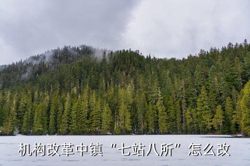 最新鄉鎮機構改革人員怎么安排,機構改革中借調人員怎么改