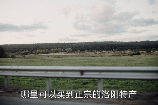 哪里可以買到正宗的洛陽(yáng)特產(chǎn)