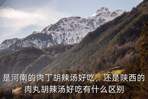 是河南的肉丁胡辣湯好吃，還是陜西的肉丸胡辣湯好吃有什么區別