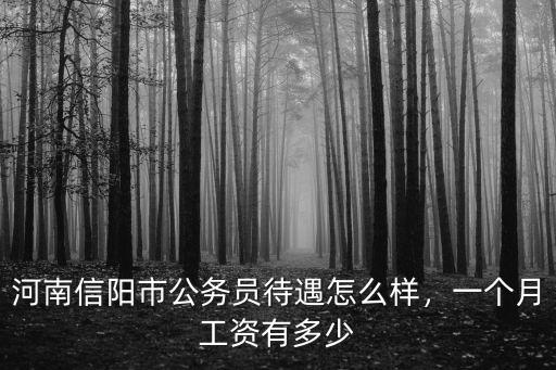 信陽市政府人員工資待遇怎么樣,河南信陽市公務員待遇怎么樣