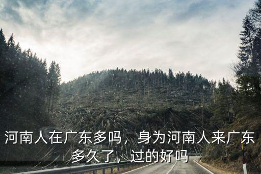 河南人在廣東多嗎，身為河南人來廣東多久了，過的好嗎
