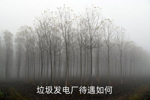 河南省登封市垃圾發(fā)電廠怎么樣,垃圾發(fā)電廠前景怎么樣