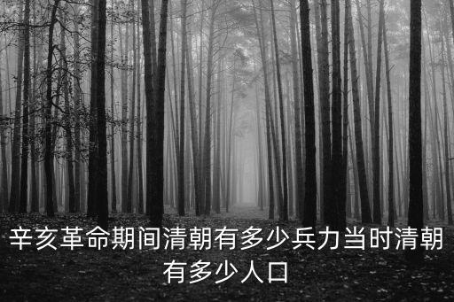 辛亥革命期間清朝有多少兵力當時清朝有多少人口
