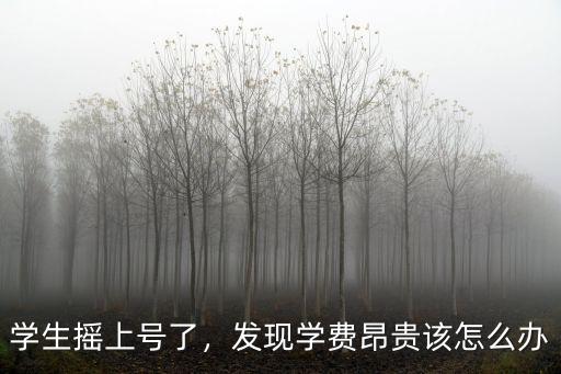 河南學(xué)生沒搖上號怎么辦,學(xué)生搖上號了
