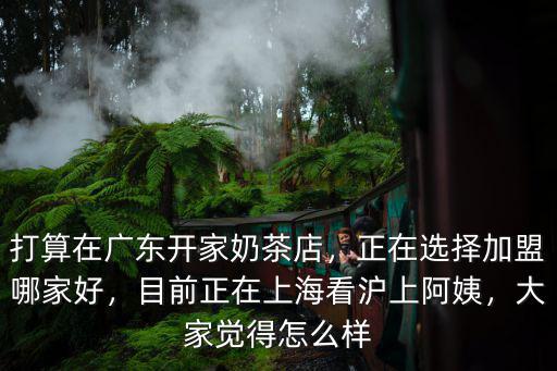 打算在廣東開家奶茶店，正在選擇加盟哪家好，目前正在上海看滬上阿姨，大家覺得怎么樣