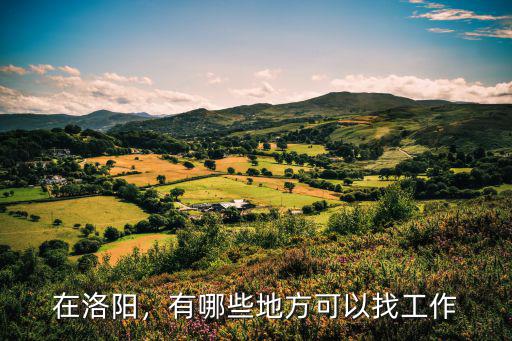 在洛陽，有哪些地方可以找工作