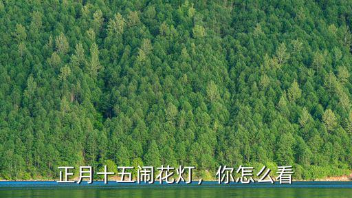 正月十五鬧花燈，你怎么看
