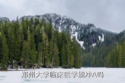 鄭州大學臨床醫學能沖A嗎