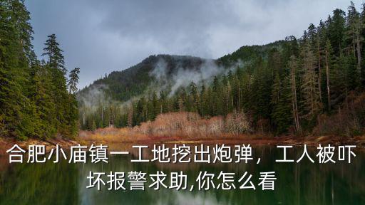 合肥小廟鎮(zhèn)一工地挖出炮彈，工人被嚇壞報(bào)警求助,你怎么看