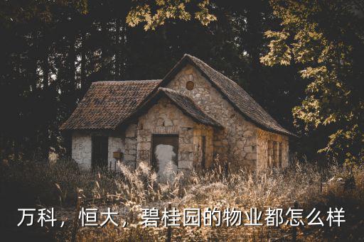 萬科，恒大，碧桂園的物業都怎么樣