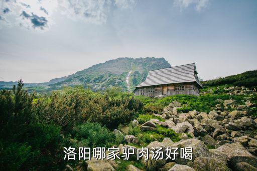 洛陽哪家驢肉湯好喝