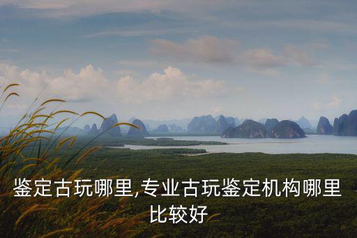 洛陽鑒定古玩哪里,專業古玩鑒定機構哪里比較好