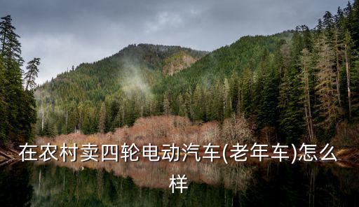 在農(nóng)村賣四輪電動汽車(老年車)怎么樣