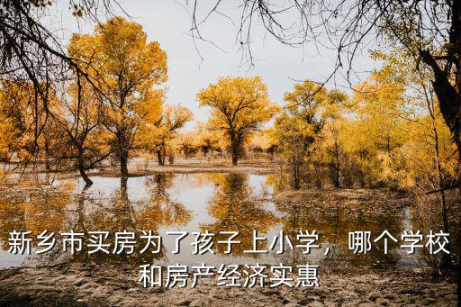 新鄉(xiāng)市買房為了孩子上小學(xué)，哪個學(xué)校和房產(chǎn)經(jīng)濟實惠