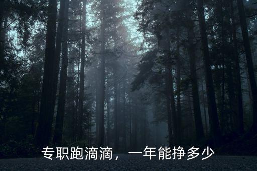 專(zhuān)職跑滴滴，一年能掙多少