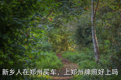 新鄉(xiāng)人在鄭州買車，上鄭州牌照好上嗎
