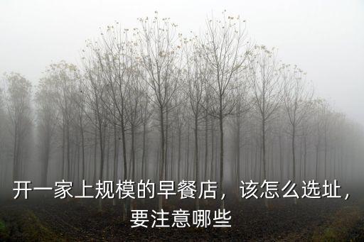 開一家上規模的早餐店，該怎么選址，要注意哪些