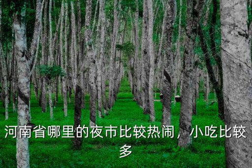 河南省哪里的夜市比較熱鬧，小吃比較多