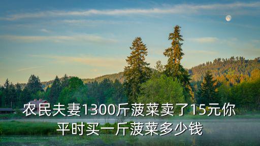 農(nóng)民夫妻1300斤菠菜賣了15元你平時(shí)買一斤菠菜多少錢
