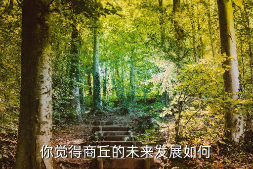 你覺得商丘的未來發(fā)展如何
