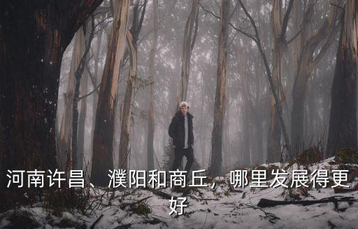 河南許昌、濮陽和商丘，哪里發展得更好