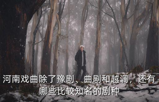 河南戲曲除了豫劇、曲劇和越調(diào)，還有哪些比較知名的劇種