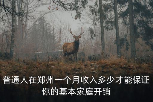 普通人在鄭州一個月收入多少才能保證你的基本家庭開銷