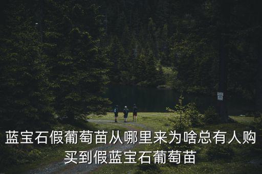 藍(lán)寶石假葡萄苗從哪里來為啥總有人購(gòu)買到假藍(lán)寶石葡萄苗