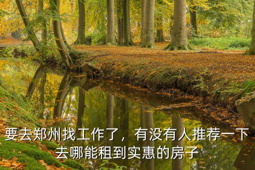 要去鄭州找工作了，有沒有人推薦一下去哪能租到實惠的房子
