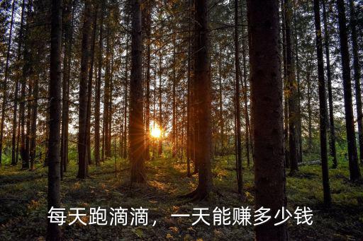 每天跑滴滴，一天能賺多少錢(qián)