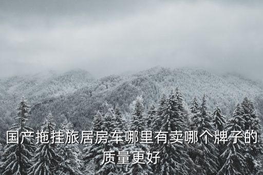 大通房車河南哪里有賣,國產(chǎn)拖掛旅居房車哪里有賣