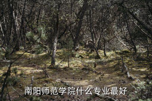 南陽師范學(xué)院什么專業(yè)最好