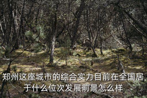 鄭州這座城市的綜合實(shí)力目前在全國居于什么位次發(fā)展前景怎么樣