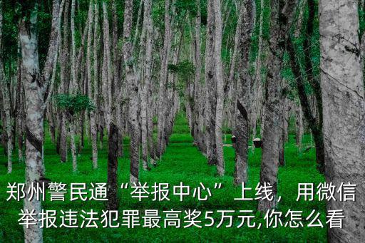 鄭州警民通舉報記錄怎么查,鄭州警民通舉報中心上線