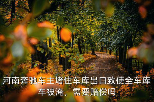 河南奔馳車主堵住車庫出口致使全車庫車被淹，需要賠償嗎