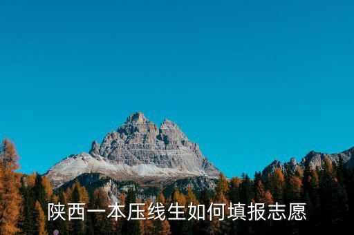 陜西一本壓線生如何填報志愿