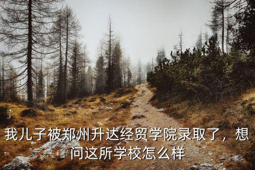 我兒子被鄭州升達經貿學院錄取了，想問這所學校怎么樣