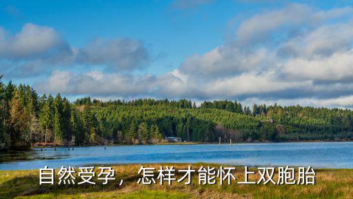 自然受孕，怎樣才能懷上雙胞胎