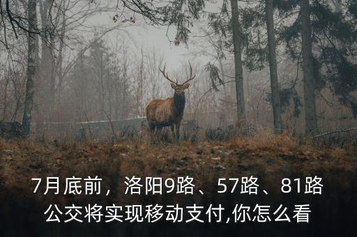 7月底前，洛陽9路、57路、81路公交將實(shí)現(xiàn)移動支付,你怎么看