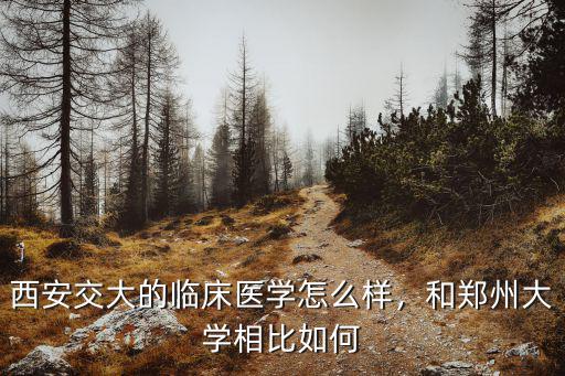 西安交大的臨床醫(yī)學(xué)怎么樣，和鄭州大學(xué)相比如何