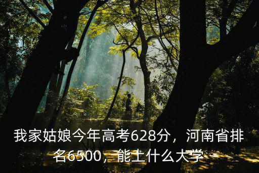 我家姑娘今年高考628分，河南省排名6500，能上什么大學
