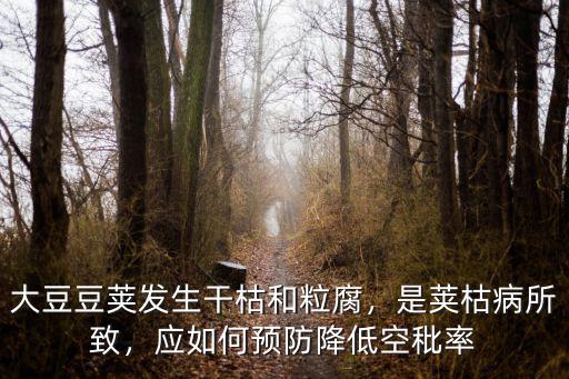 漯河大豆干枯怎么辦,大豆豆莢發生干枯和粒腐